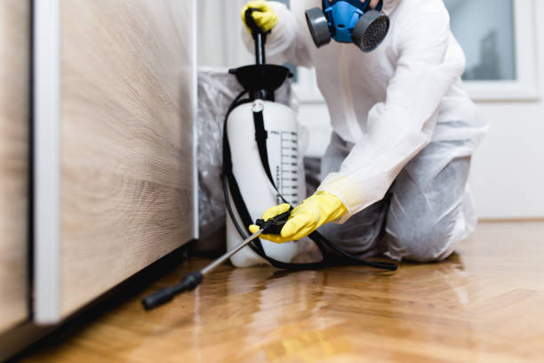 Best Cockroach Control Services  in Rutherford College, NC