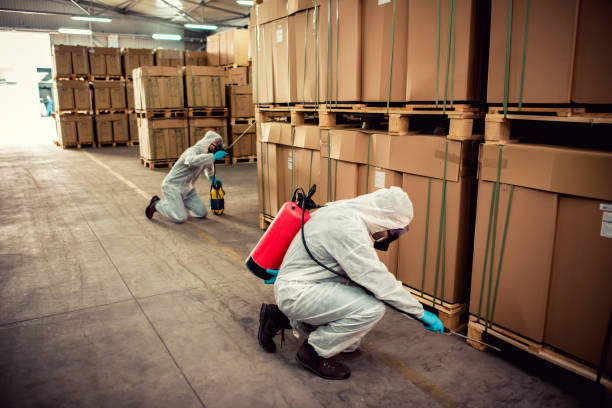 Best Wildlife Control Services  in Rutherford College, NC