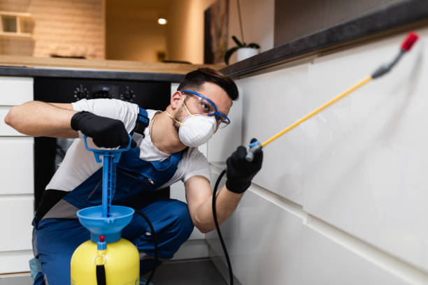 Best Ant Control Services  in Rutherford College, NC