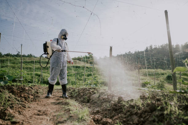 Best Commercial Pest Control Services  in Rutherford College, NC