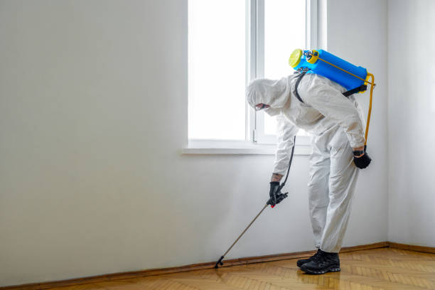 Best Affordable Pest Control Services  in Rutherford College, NC