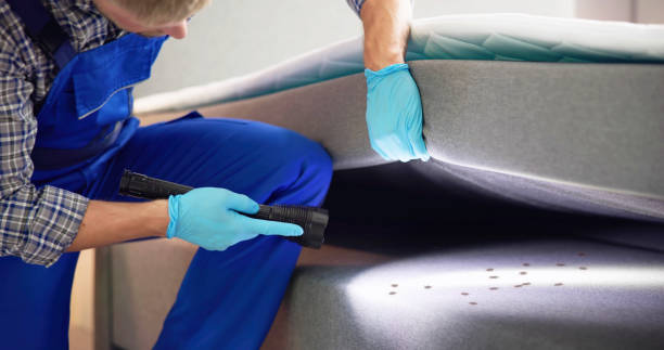 Best Local Pest Control Services  in Rutherford College, NC