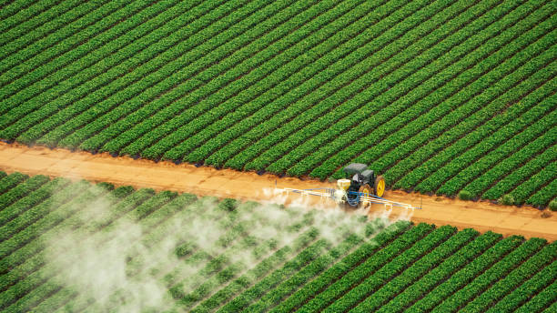 Trusted Rutherford College, NC Pest Control Experts